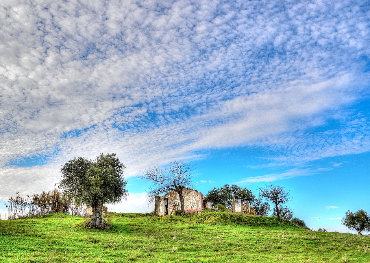 Kaimas, Sunaikinimas, Sugadinti, Namas, Desolate, Paliktas, Architektūra, Skilimas, Ūkis, Tuščia