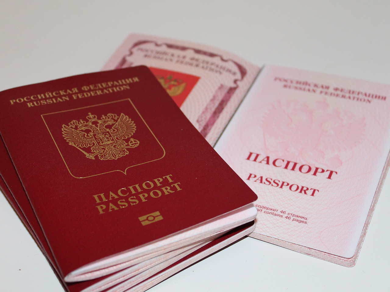 Rusija, Pasas, Dokumentas, Užsienio Pasas, Keliauti, Nemokamos Nuotraukos,  Nemokama Licenzija