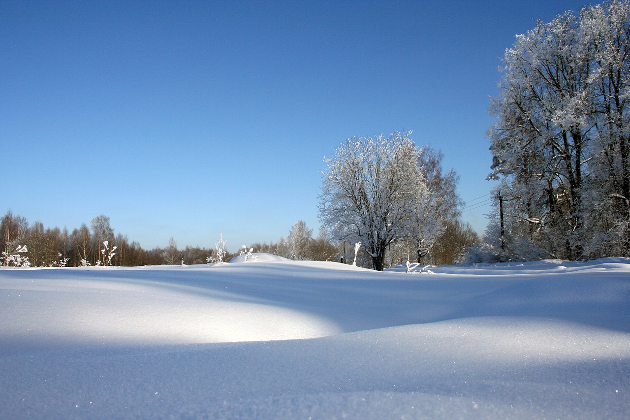 Rusijos Žiema, Grožis, Gamta, Žiema, Sniegas, Kaimas, Rusija, Šaltai, Labai Graži, Vaikščioti