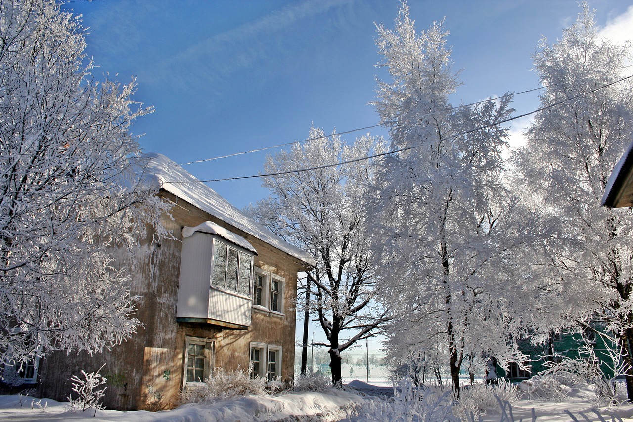 Rusijos Žiema, Grožis, Gamta, Žiema, Sniegas, Kaimas, Rusija, Šaltai, Labai Graži, Vaikščioti
