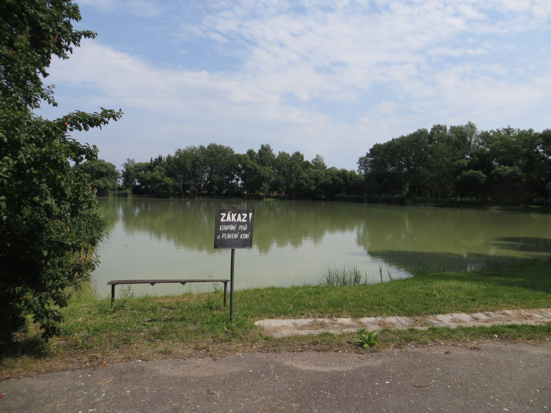 Tvenkinys,  Zasadnik,  Vandens,  Apmąstykite, Nemokamos Nuotraukos,  Nemokama Licenzija