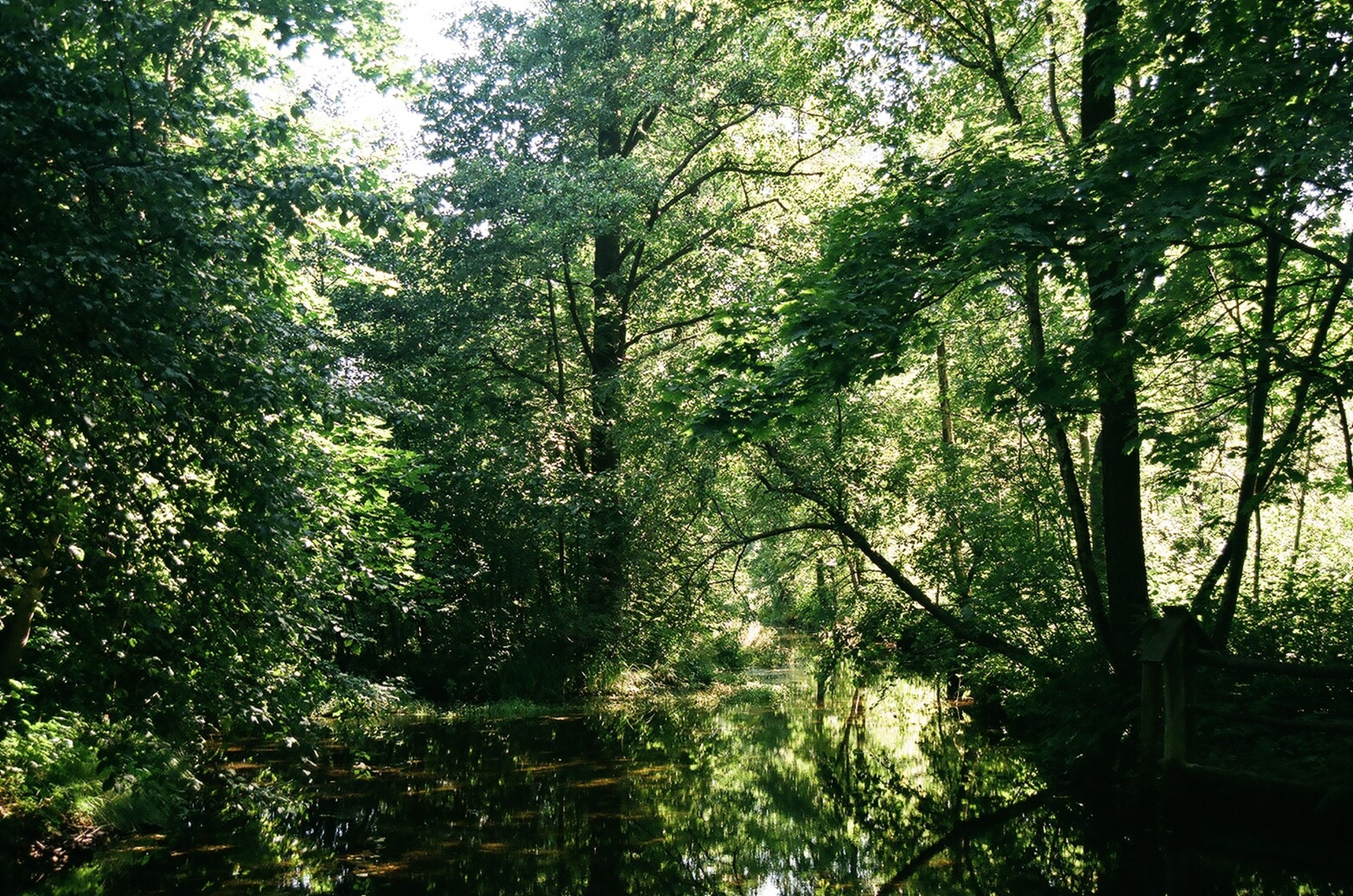 Šaltinis,  Upė,  Prutnik,  Buveinės,  Lublin,  Lenkija,  Upė