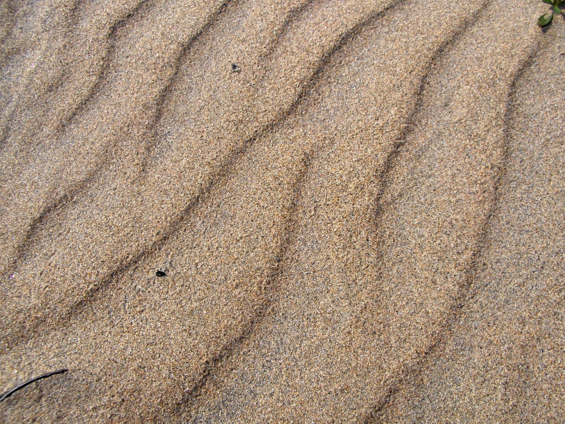 Smėlis,  Papludimys,  Smėlio Paplūdimys (5), Nemokamos Nuotraukos,  Nemokama Licenzija