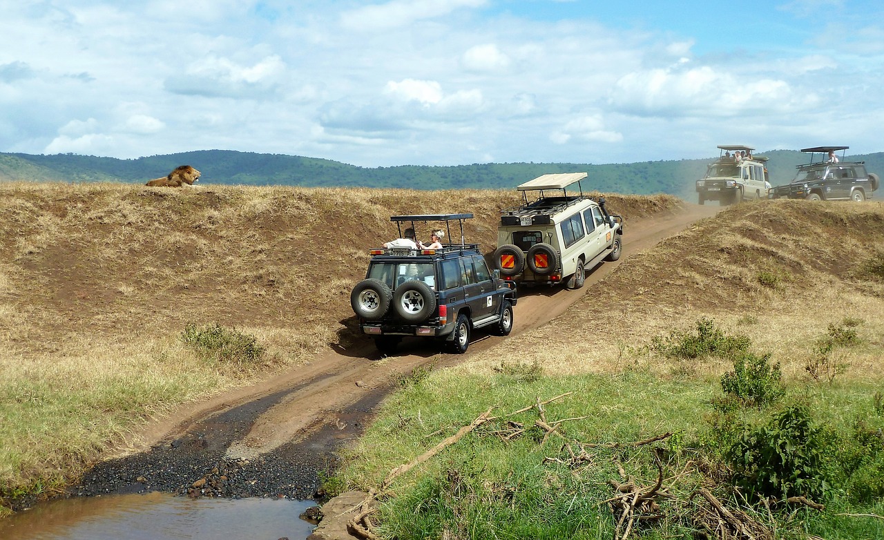 Safari, Laukinės Gamtos Stebėjimas, Jeep, Liūtas, Off Road, Neapsaugotas, Tanzanija, Ngorongoro Krateris, Nacionalinis Parkas, Turizmas