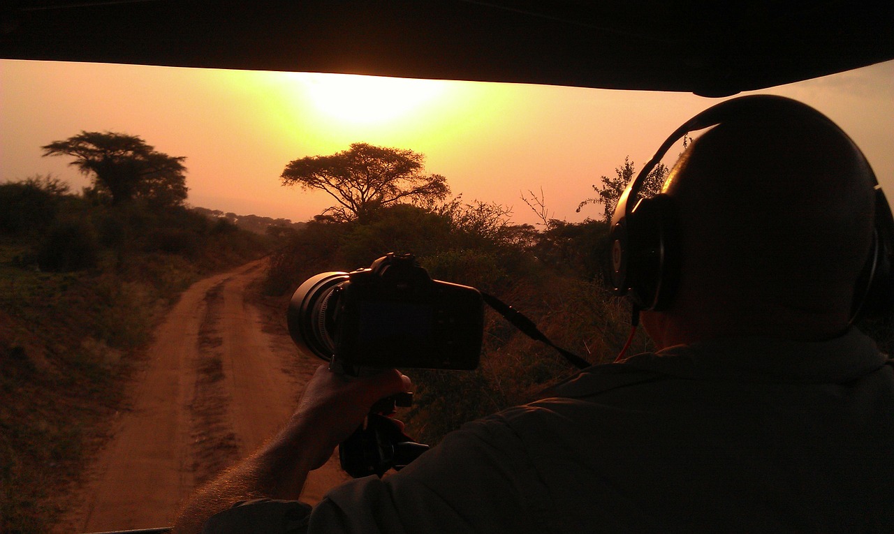 Safari, Saulėlydis, Afrika, Uganda, Fotografas, Kelionė, Siluetas, Dangus, Gamta, Medis