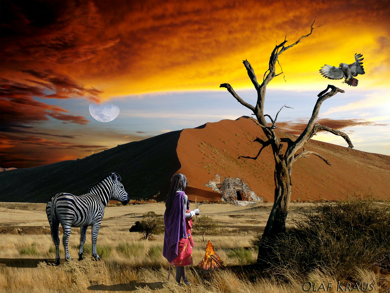 Safari, Afrika, Zebra, Moteris, Namibija, Kenya, Kopos, Dykuma, Sausra, Nemokamos Nuotraukos