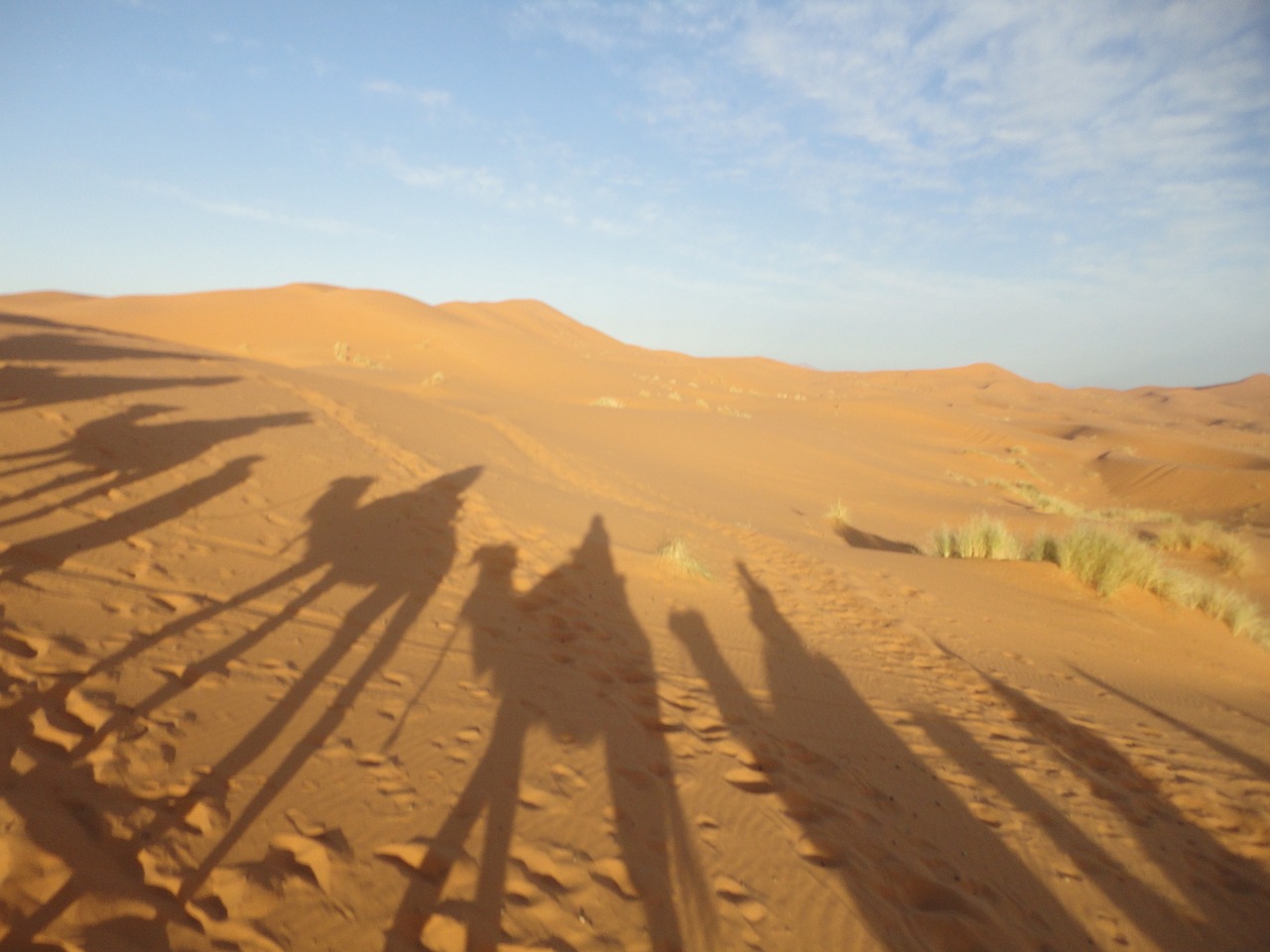 Saharos Dykuma, Smėlis, Šešėlis, Dromedary, Nemokamos Nuotraukos,  Nemokama Licenzija