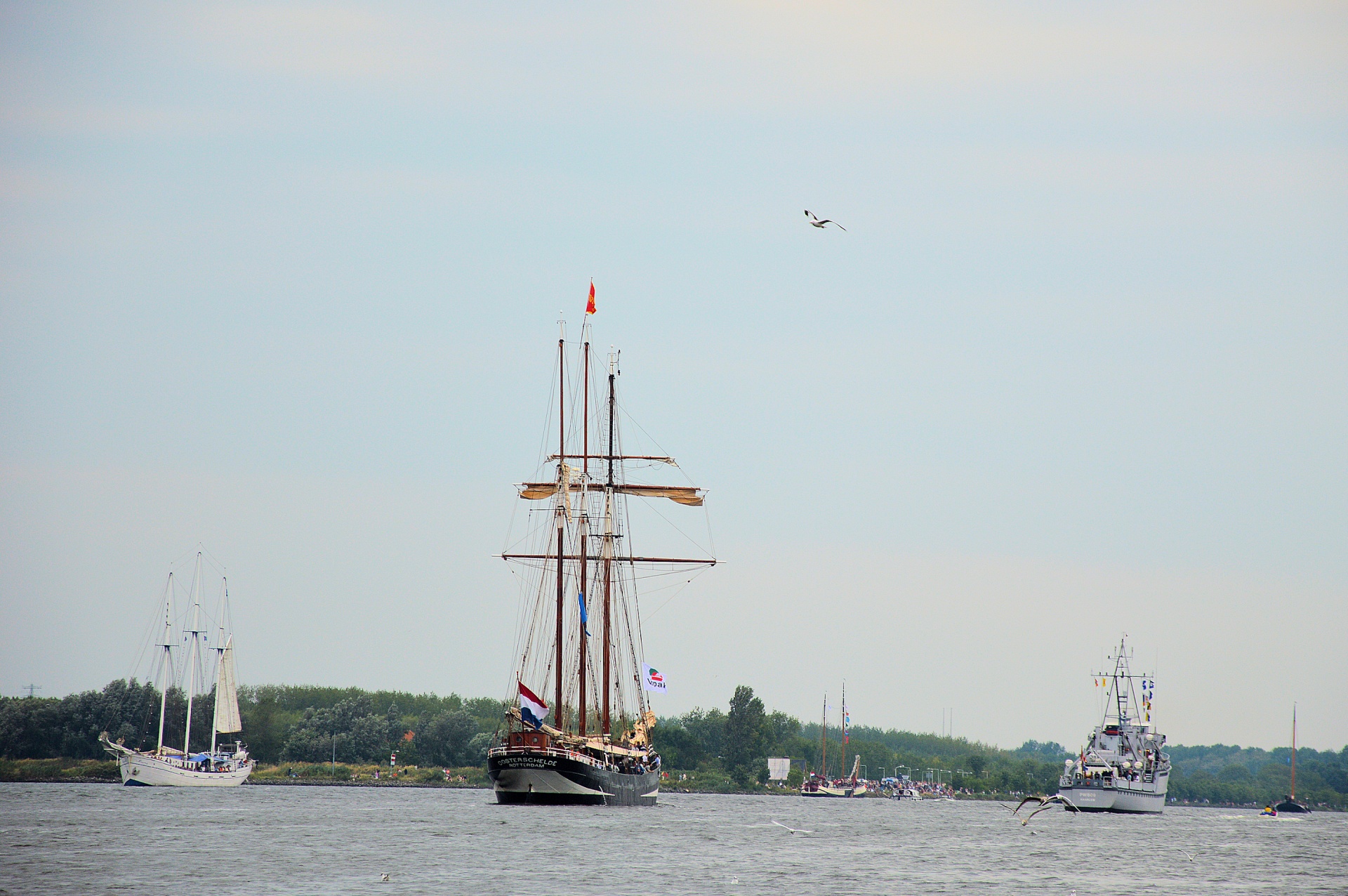 Buriu,  Plaukioti & Nbsp,  2015,  Amsterdam & Nbsp,  Buriu,  Buriavimas,  Tradicija,  Istorija,  Trisluoksnės,  Du Meistrai