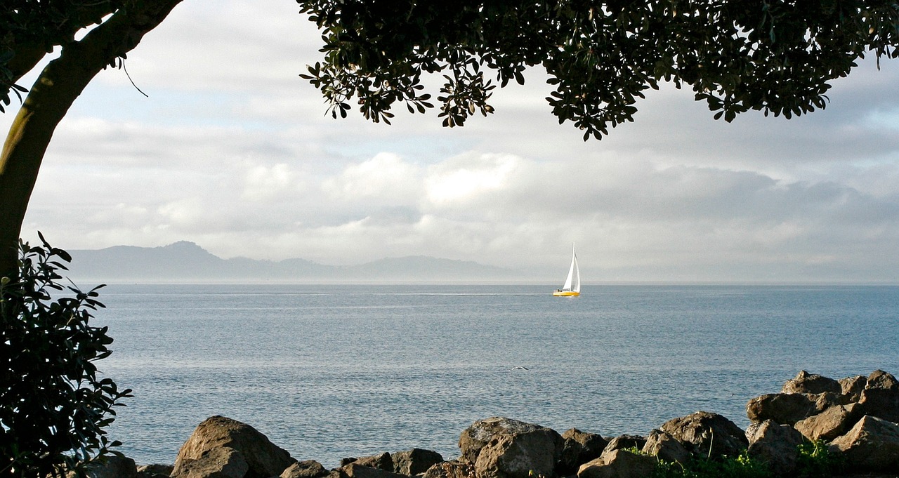 Burlaivis, Geltona Burlaivis, Medžiai, San Francisco Bay, Debesys, Akmenys, Valtis, Jūra, Vanduo, Vandenynas