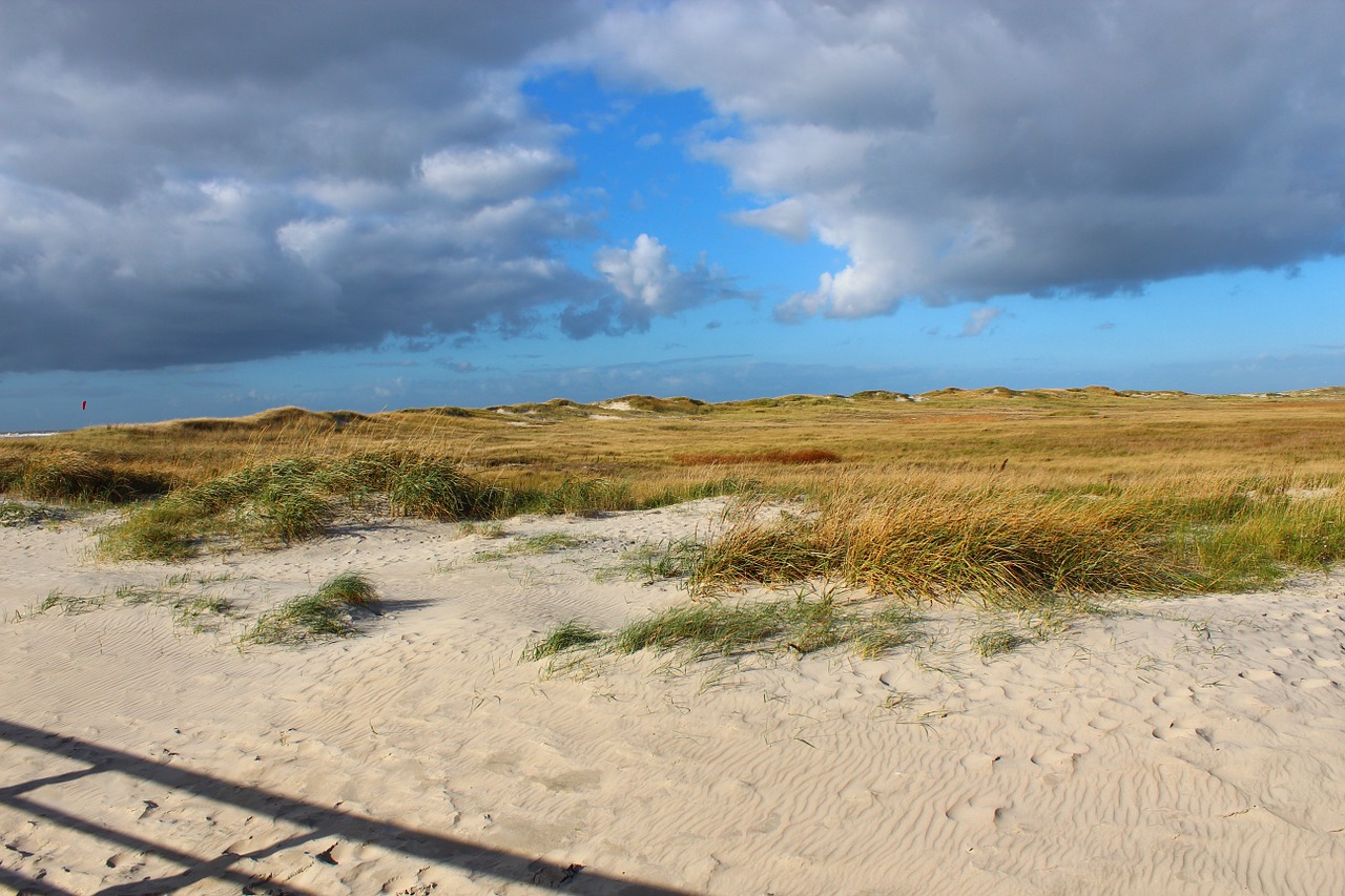 Saint Peter Ording, Kopos, Papludimys, Šiaurės Jūra, Kranto, Nordfriesland, Jūra, Nemokamos Nuotraukos,  Nemokama Licenzija