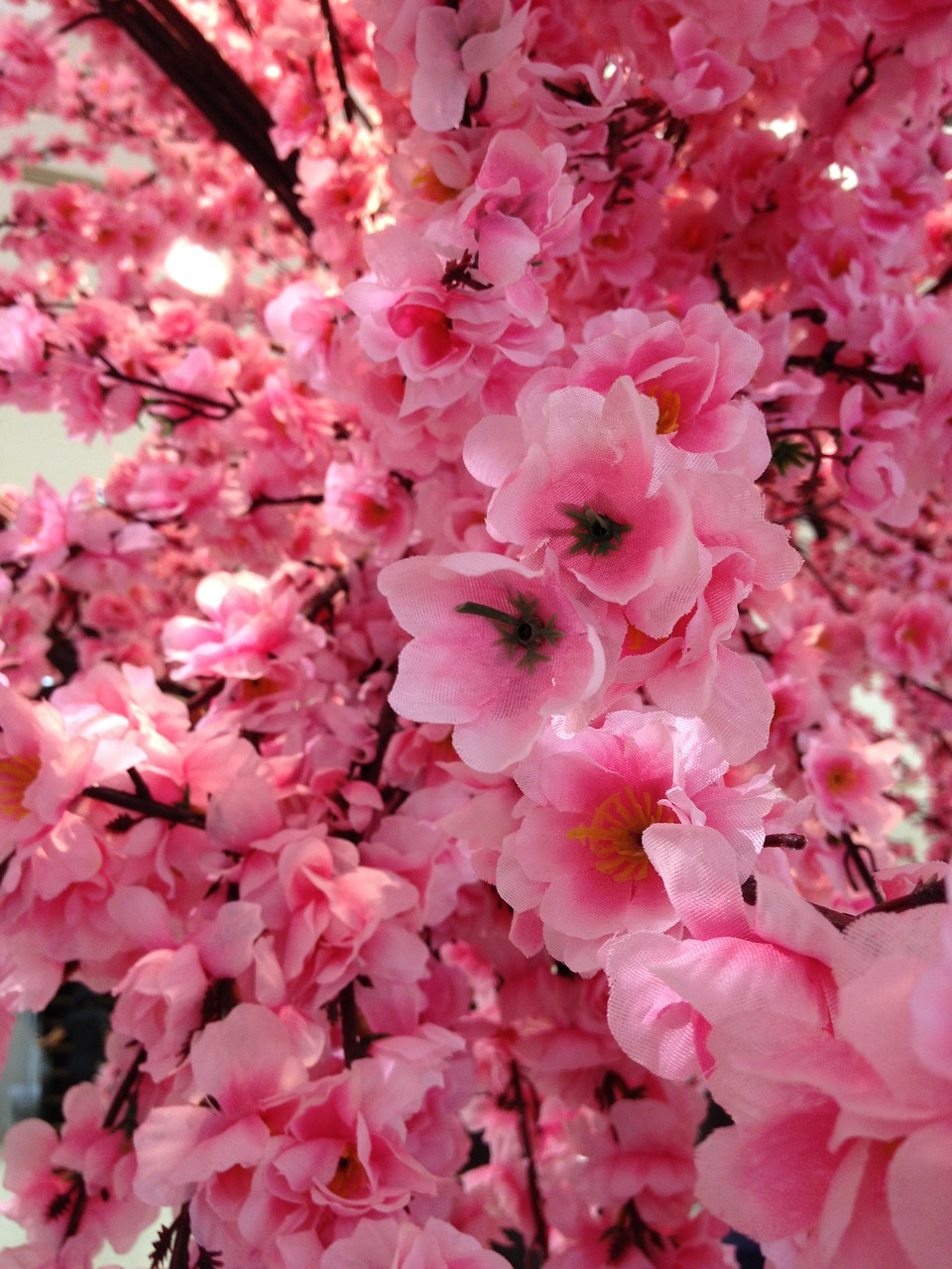 Sakura, Netikrą, Gėlės, Rožinis, Žiedas, Gėlių, Dirbtinis, Vyšnia, Nemokamos Nuotraukos,  Nemokama Licenzija
