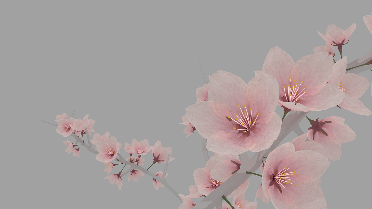 Sakura, Vyšnia, Žiedas, Gėlė, Rožinis, Gamta, Japanese, Gėlių, 3D, Nemokamos Nuotraukos