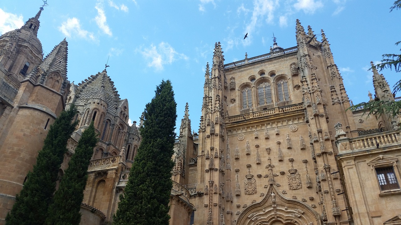 Salamanca, Katedra, Paveldas, Paminklai, Nemokamos Nuotraukos,  Nemokama Licenzija