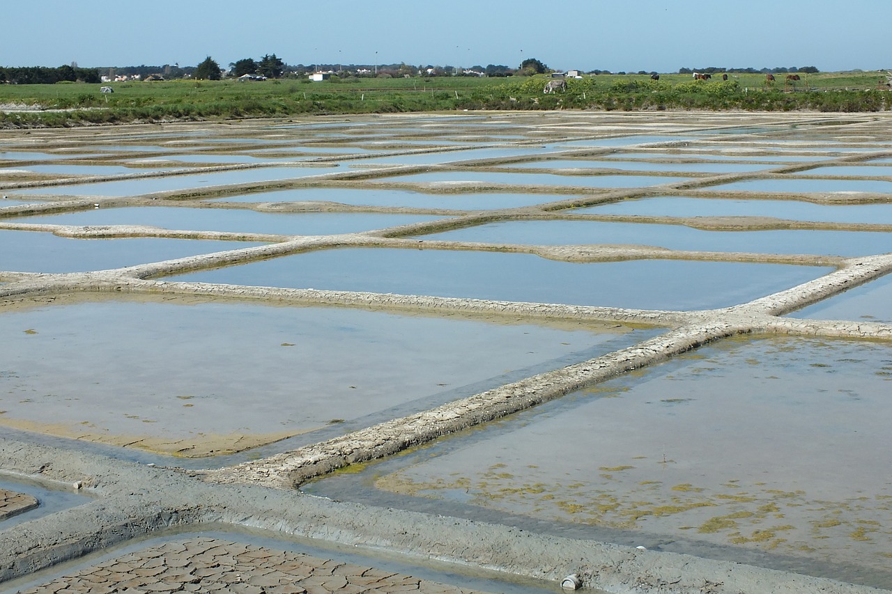 Druskos Pelkės, Noirmoutier, Druska, Nemokamos Nuotraukos,  Nemokama Licenzija