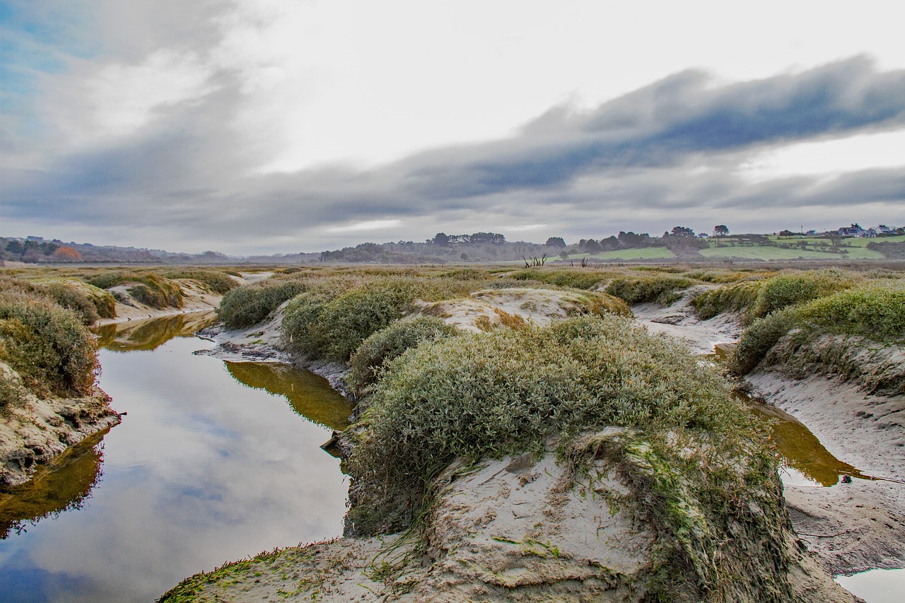 Saltmarsh, Estuarija, Pakrantės, Purvas, Vanduo, Brittany, Nemokamos Nuotraukos,  Nemokama Licenzija