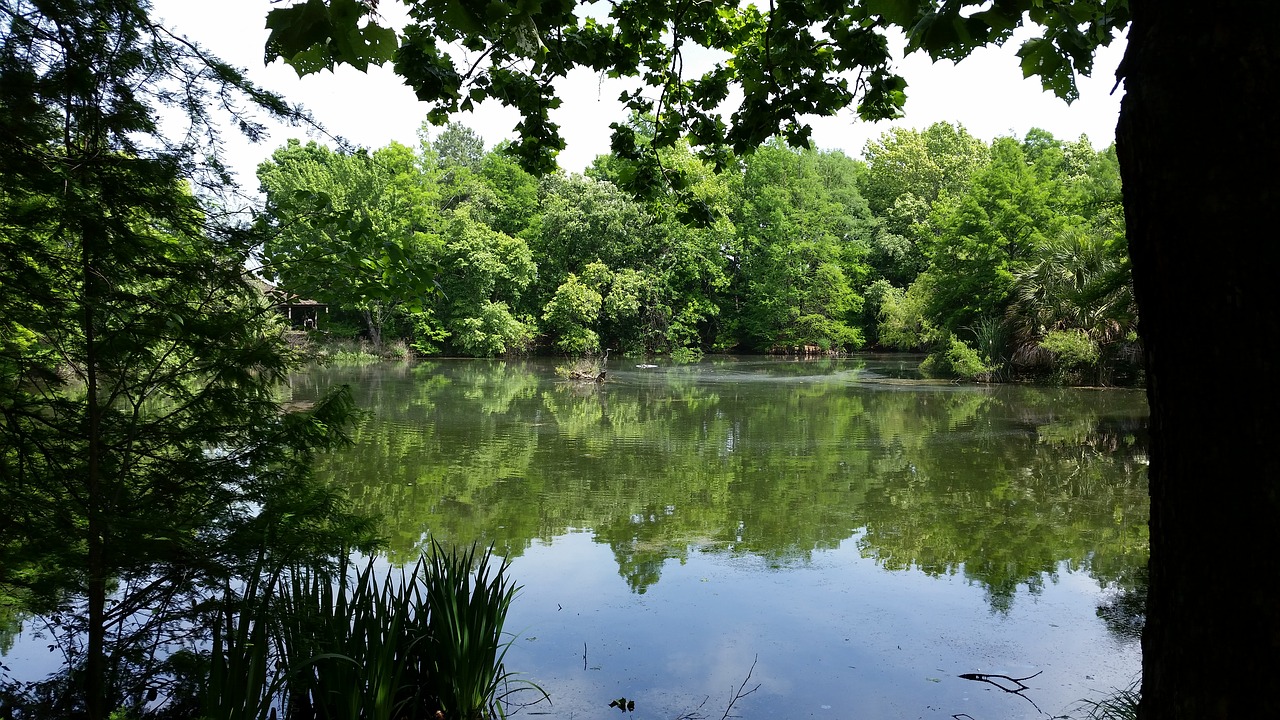 San Antonio, Botanikos, Sodai, Gamta, Gėlės, Nemokamos Nuotraukos,  Nemokama Licenzija