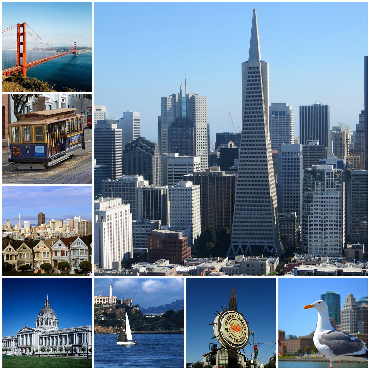 San Franciskas, Foto Koliažas, Koliažas, Kelionė, Amerikietis, Orientyras, Turizmas, Atvirukas, Atostogos, Ekskursijos