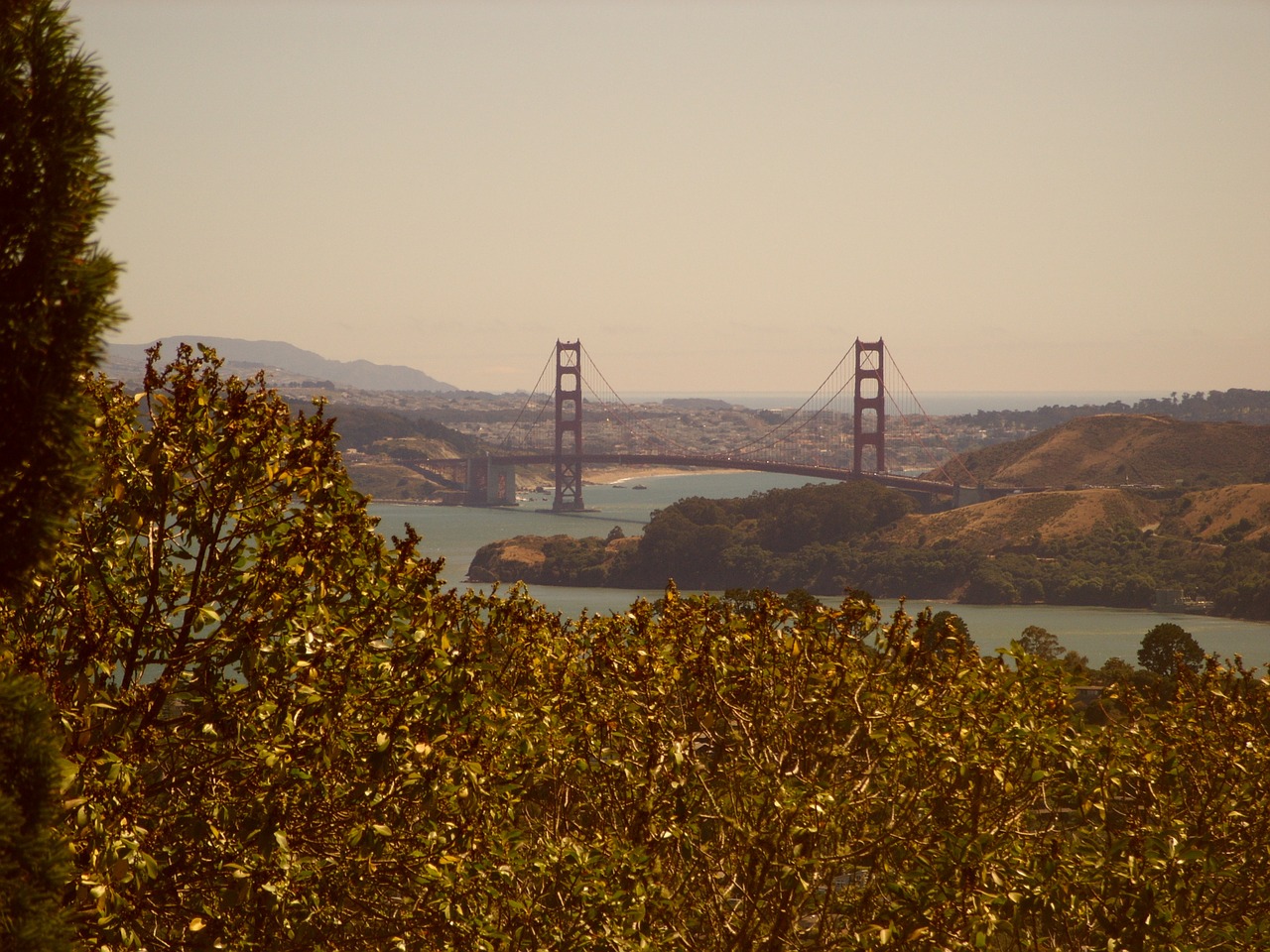 San Franciskas, Auksinių Vartų Tiltas, Lankytinos Vietos, Nemokamos Nuotraukos,  Nemokama Licenzija