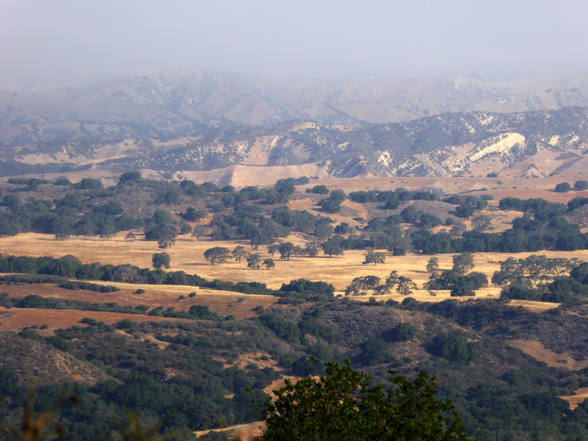 Vista,  Vaizdas,  Kraštovaizdis,  Kalnai,  San & Nbsp,  Joaquin & Nbsp,  Slėnis,  Kalifornija,  San Joaquin Slėnio Vista, Nemokamos Nuotraukos