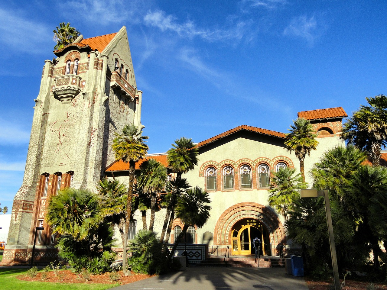 San Jose Valstybinis Universitetas, Kalifornija, Bokšto Salė, Campus, Mokykla, Kolegija, Pastatai, Architektūra, Delnus, Palmės