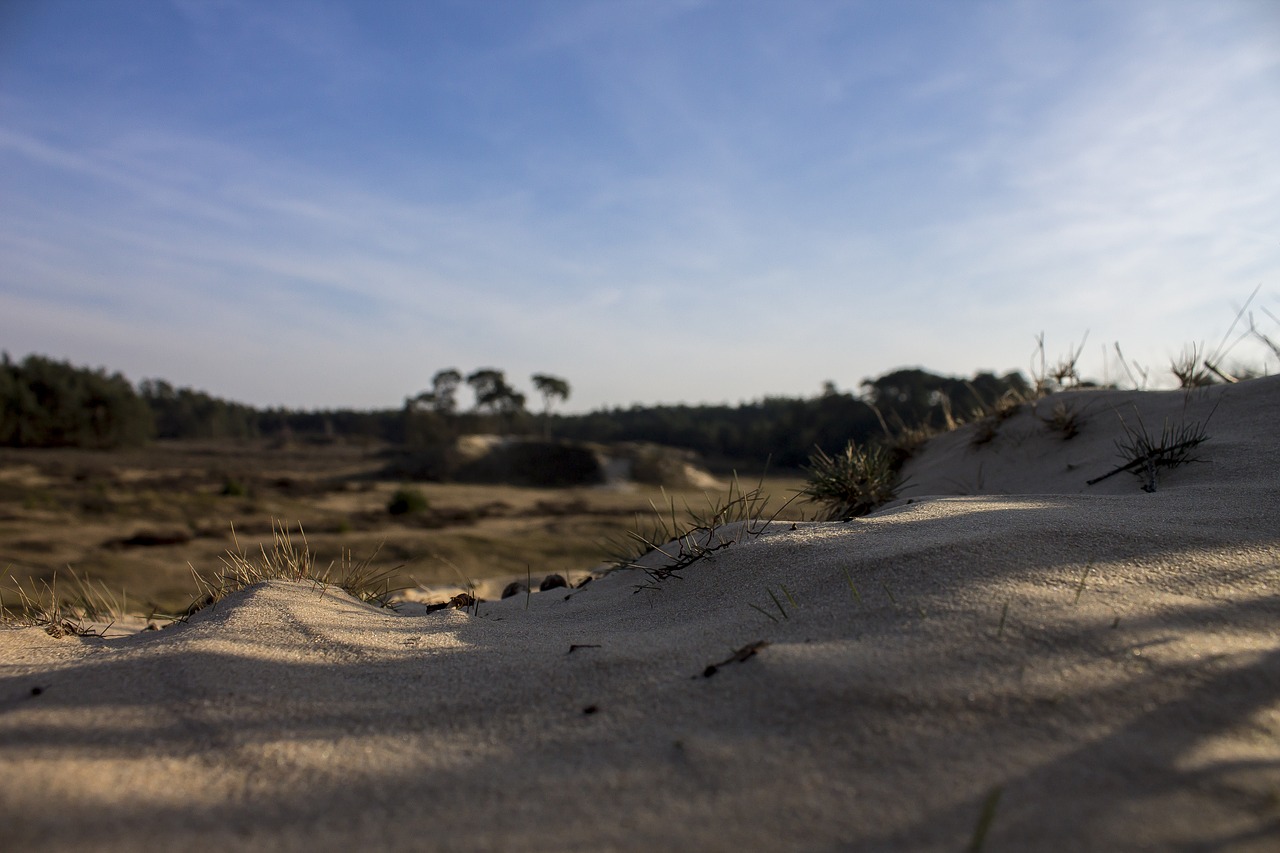 Smėlis, Gamta, Heide, Oras, Nyderlandai, Veluwe, Vaizdas, Mėlynas, Kopos, Mėlynas Dangus