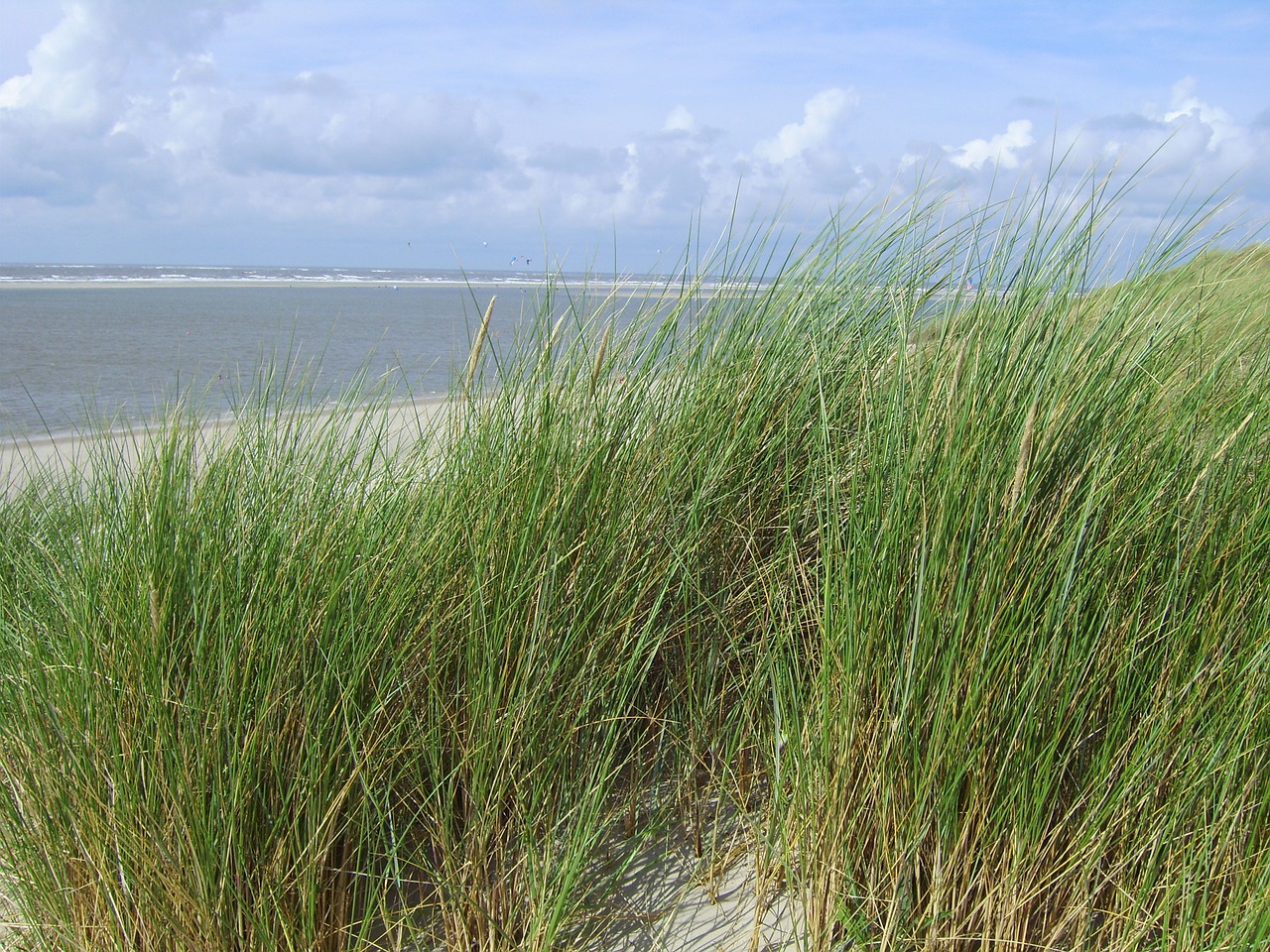 Smėlio Paplūdimys Smėlis, Jūra, Langeoog, Šiaurės Jūra, Paplūdimys, Kopos, Vanduo, Šventė, Atostogos, Kranto