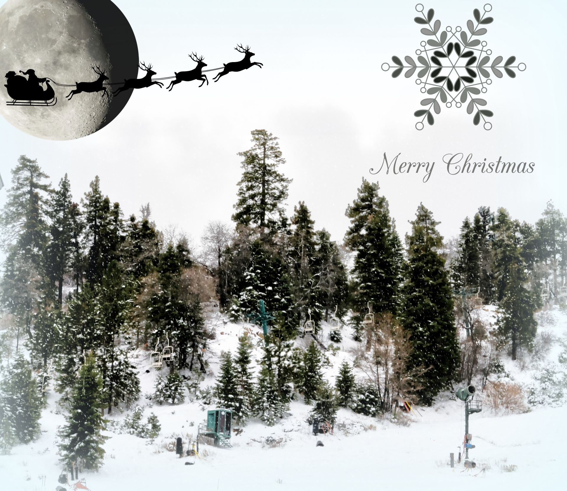 Kalėdos,  Xmas,  Pilnas & Nbsp,  Mėnulis,  Santa,  Santa & Nbsp,  Claus,  Miškas,  Pušis & Nbsp,  Medžiai