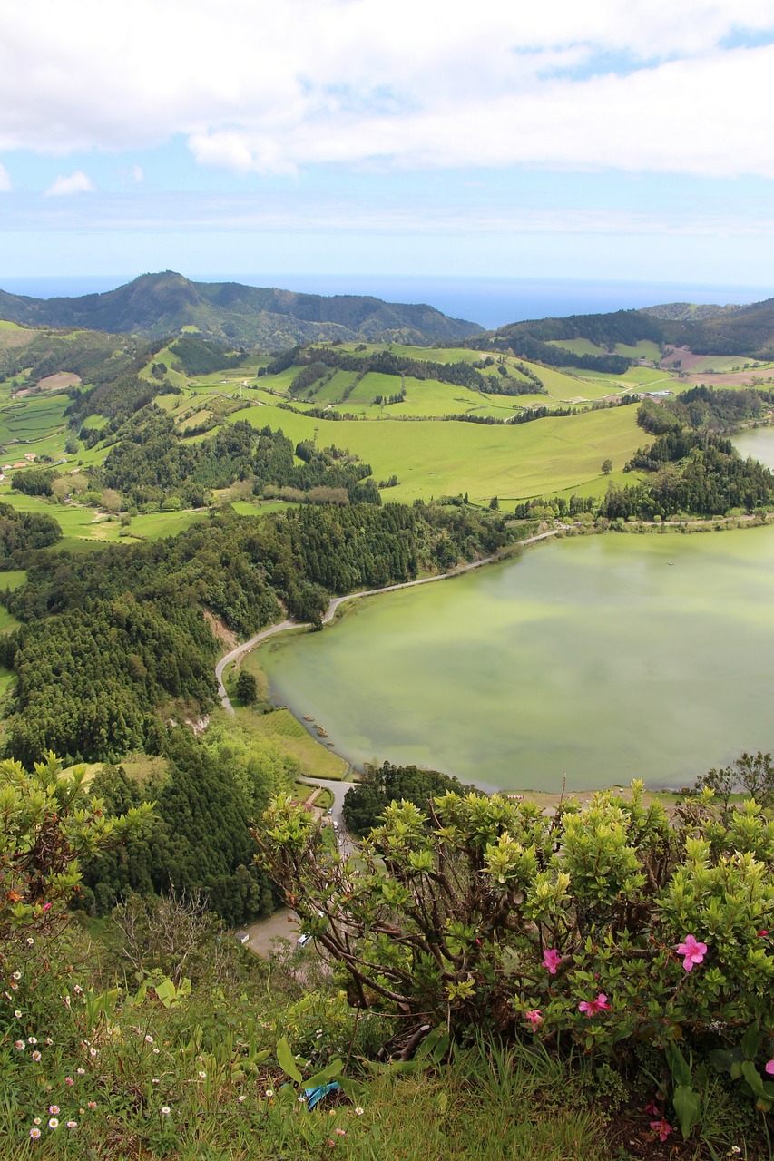 São Miguel, Azores, Sala, Kraštovaizdis, Dykuma, Peizažas, Natūralus, Laukiniai, Lauke, Aplinka