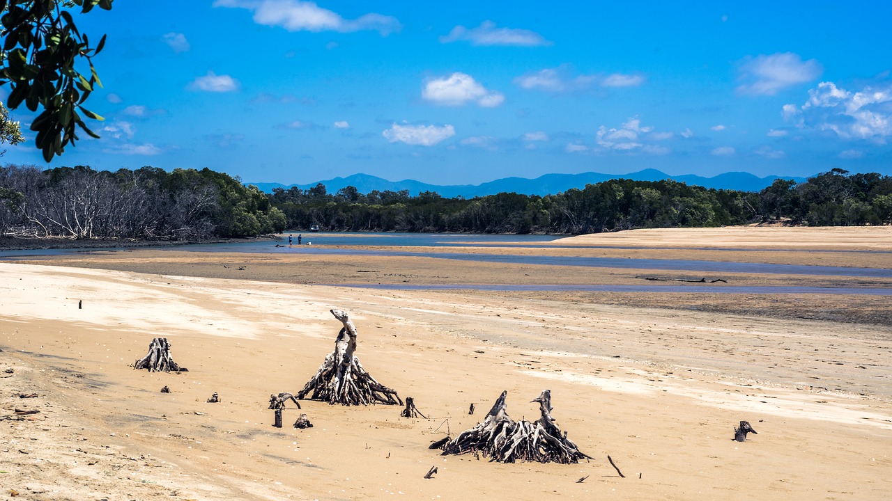 Paplūdimys Paplūdimyje, Saunders Creek, Townsville Žvejybos Vieta, Saunders Yra Į Šiaurę Nuo Townsville, Tyras Paplūdimys, Saunders Kempingų Parkas, Saunders Shop, Geriausiai Laikoma Paslaptis, Atoslūgis, Nemokamos Nuotraukos