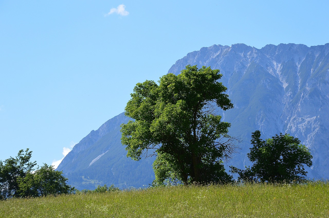 Sautens, Kalnai, Alpių, Vaizdas, Alm, Oetztalas, Gamta, Austria, Tyrol, Tirolo Alpės