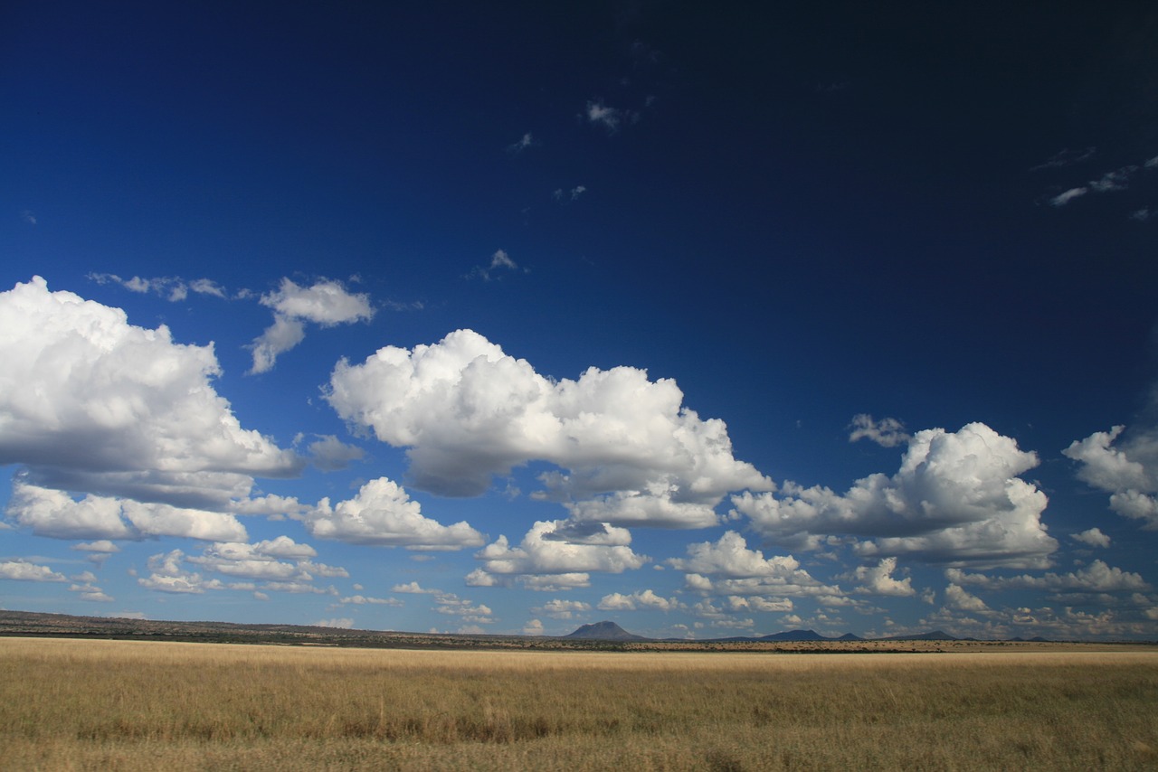 Savana, Afrika, Tanzanija, Krūmas, Kraštovaizdis, Debesis, Dangus, Paprastas, Rezervas, Nemokamos Nuotraukos