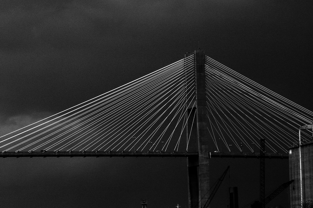 Savannah,  Tiltas,  Architektūra, Nemokamos Nuotraukos,  Nemokama Licenzija