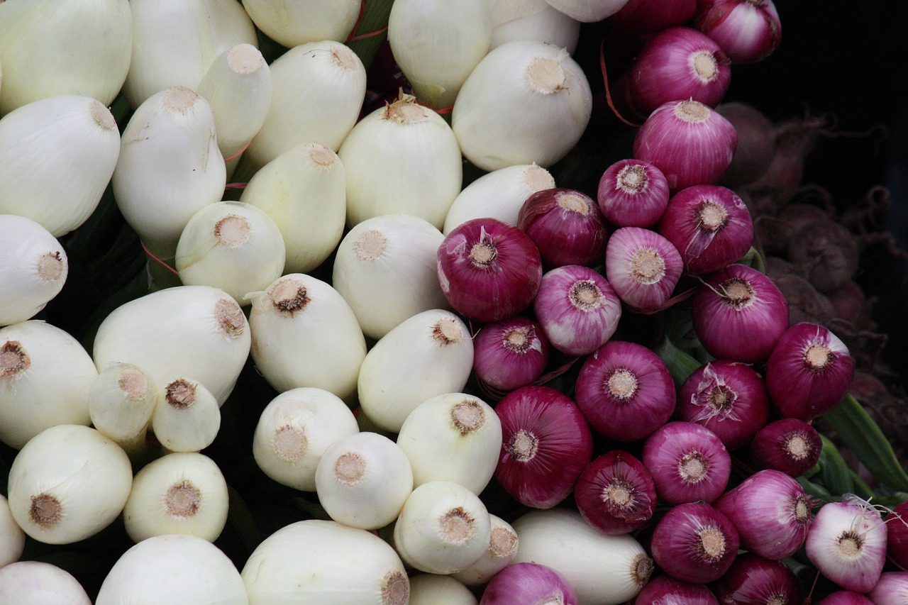 Kopūstai, Baltasis Svogūnas, Svogūnai, Žalias, Daržovių, Pavasaris, Šaknis, Vegetariškas, Sveikas, Maistas