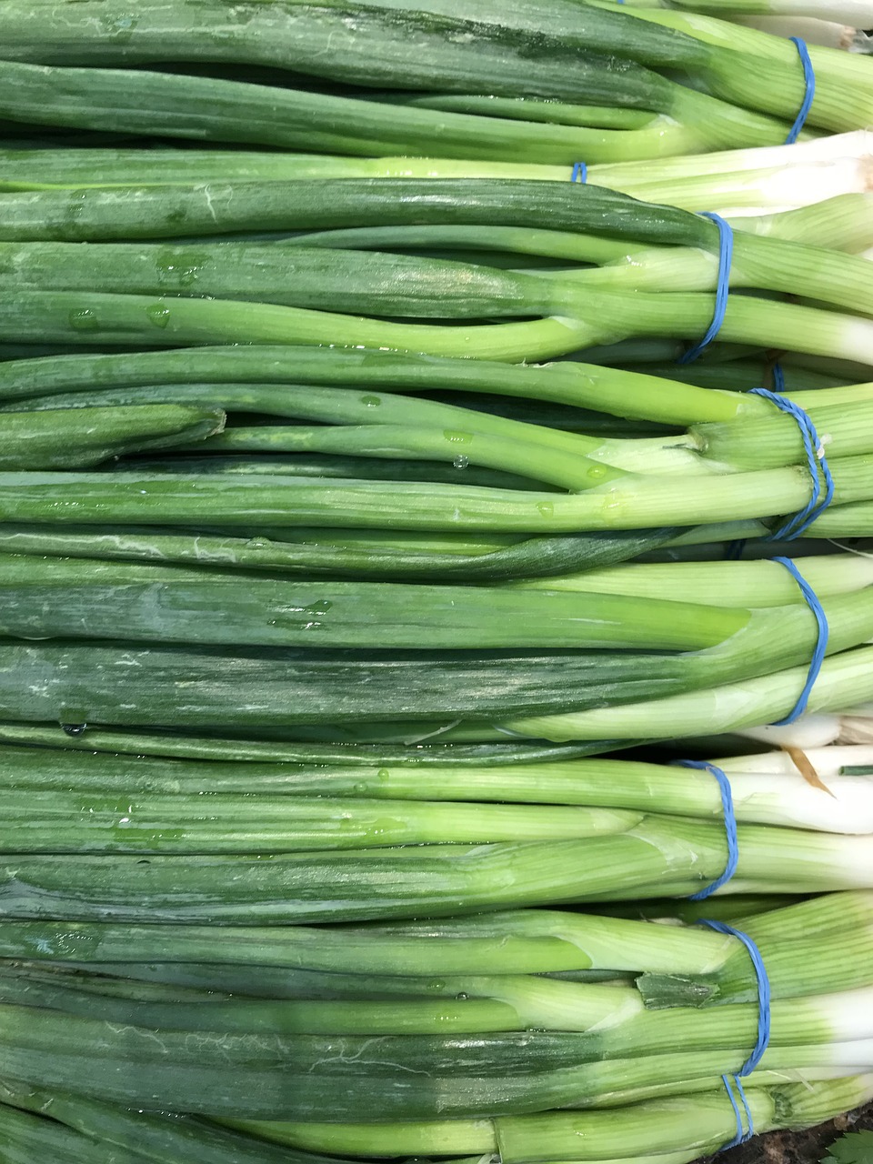 Scallions,  Svogūnai,  Daržovės,  Daržovių,  Sveiki,  Vegetarų,  Maistas, Nemokamos Nuotraukos,  Nemokama Licenzija