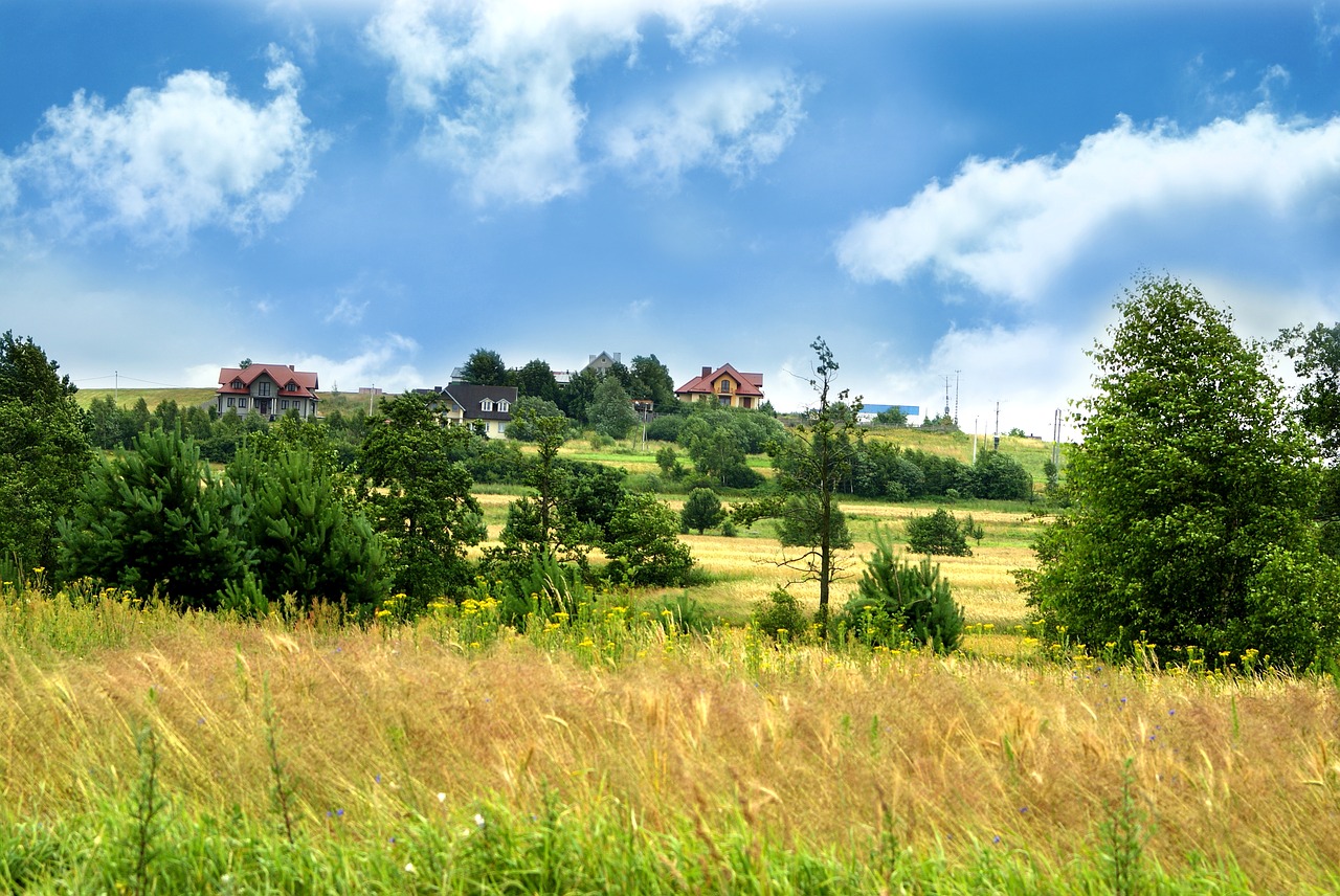 Peizažas, Kielce, Dangus, Medis, Žalias, Lenkija, Žolė, Grožis, Gamta, Vasara