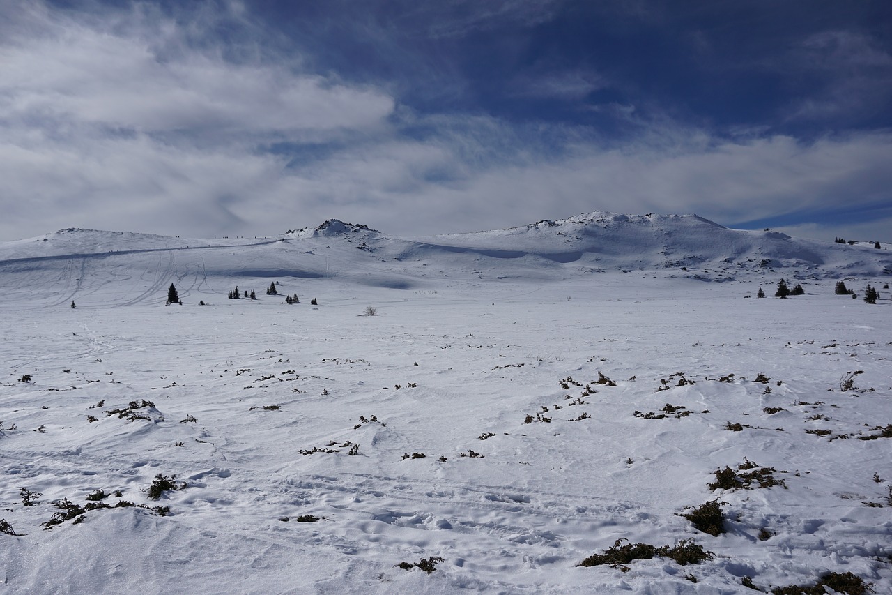 Peizažas, Kalnas, Vitosha, Bulgarija, Aplinka, Highlands, Sniegas, Nemokamos Nuotraukos,  Nemokama Licenzija