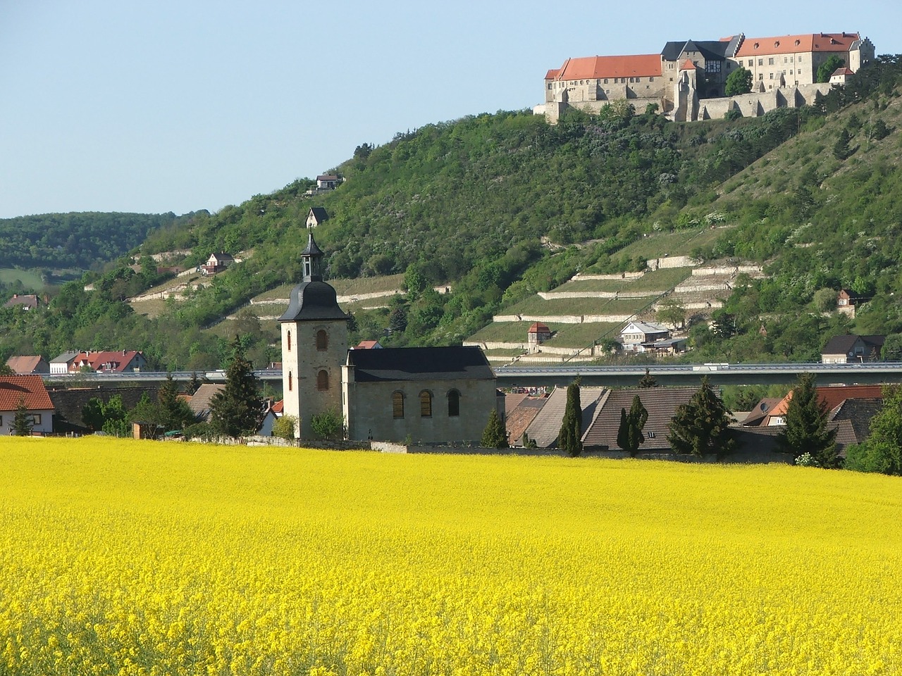 Schloss Neuenburg, Freiburg, Pavasaris, Saale Unstrut, Saksonija-Anhaltas, Nemokamos Nuotraukos,  Nemokama Licenzija