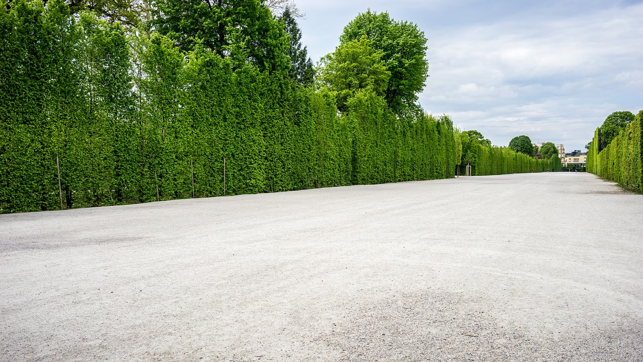 Schönbrunn,  Wien,  Vienna,  Parkas,  Austria,  Schonbrunn,  Rūmai,  Architektūra,  Kelionė,  Žinomas