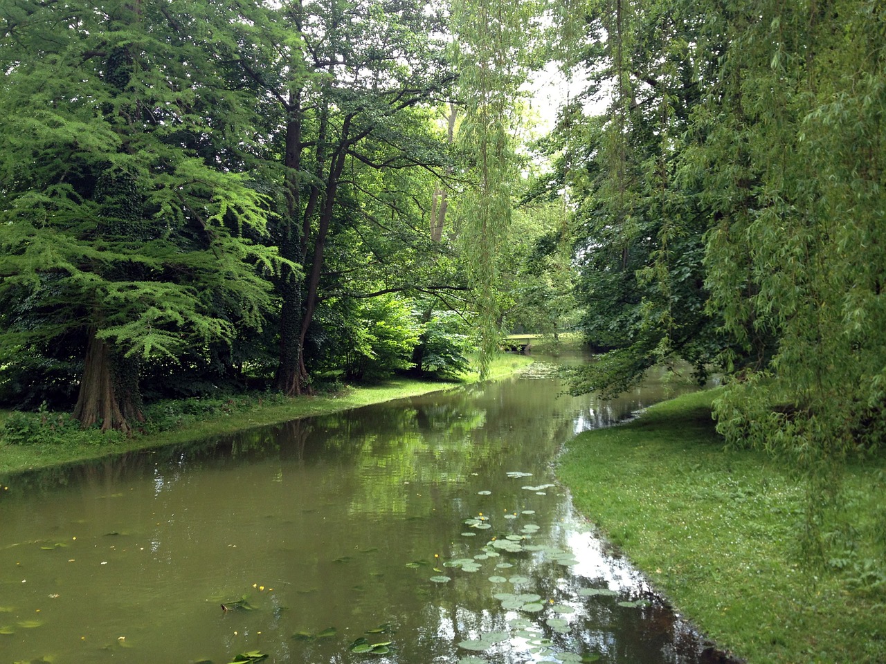 Schwerin, Parkas, Medžiai, Nemokamos Nuotraukos,  Nemokama Licenzija