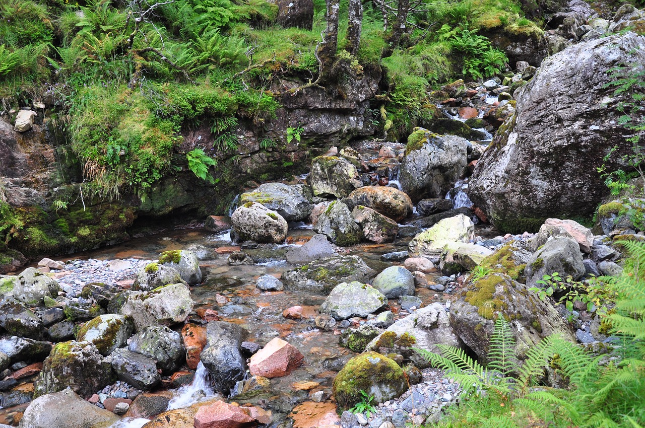 Škotija, Paslėptas Slėnis Ballachulish, Augalai, Žalias, Gamta, Akmenys, Srautas, Torrent, Kalnas, Nemokamos Nuotraukos