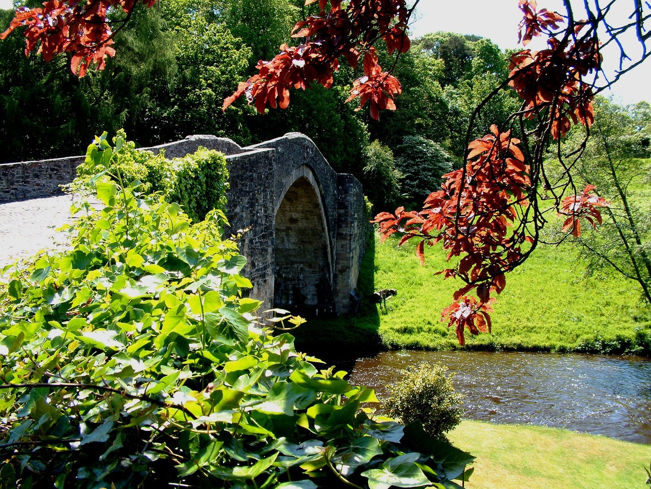 Škotija, Ayrshire, Brig O Doon, Parkas, Miškas, Žalias, Pieva, Tiltas, Akmeninis Tiltas, Vasara