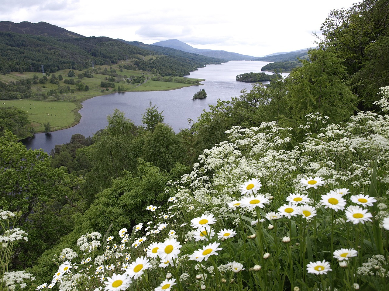 Škotija, Loch Tummel, Karalienės Vaizdas, Gėlės, Vanduo, Ežeras, Žalias, Kraštovaizdis, Gamta, Žiedas