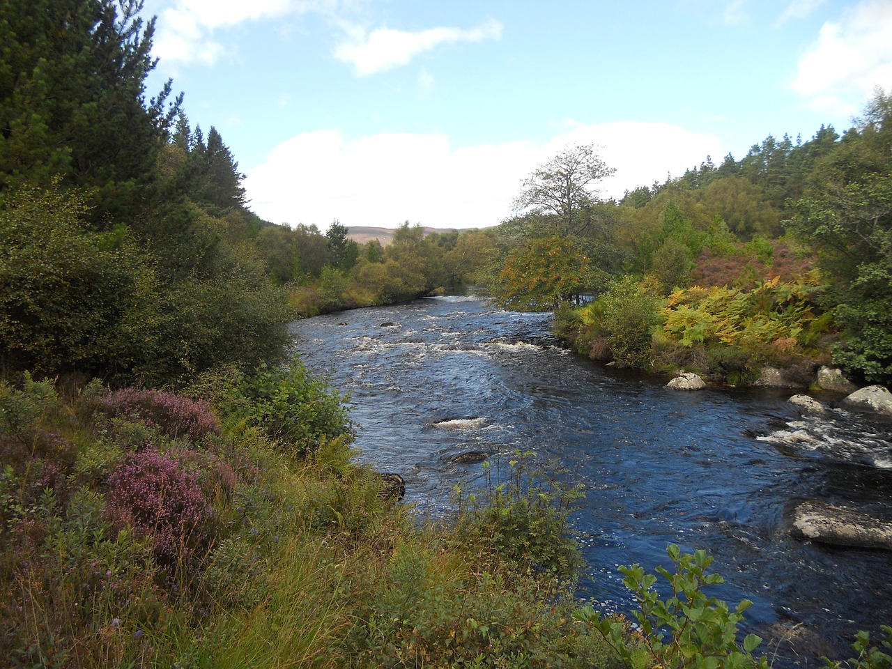 Škotijos Upė, Žvejybos Upė, Highland Upė, Nemokamos Nuotraukos,  Nemokama Licenzija