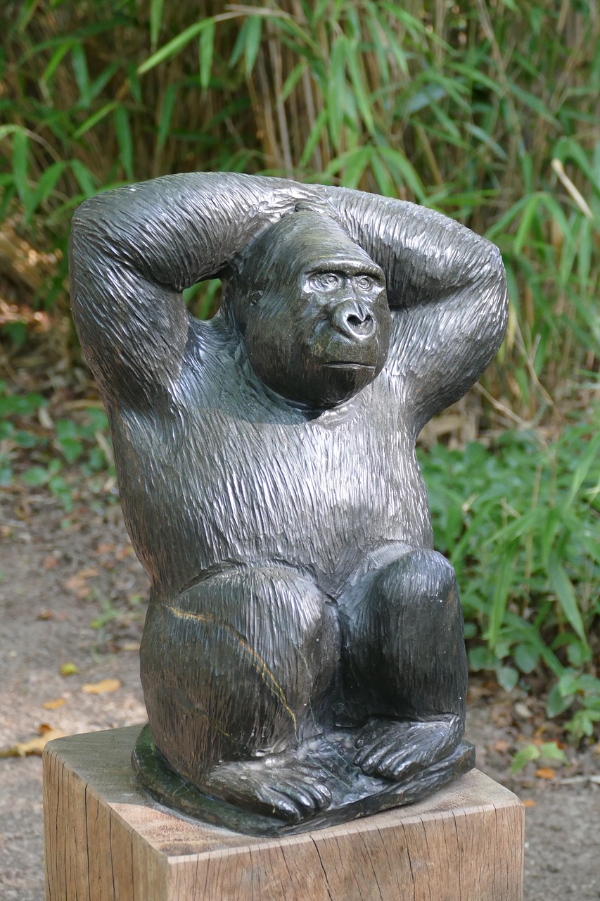 Skulptūra,  Išsiaiškinti,  Menas,  Afrikoje,  Afrikos,  Akmuo,  Beždžionė,  Gyvūnas,  Sėdėti,  Gorila