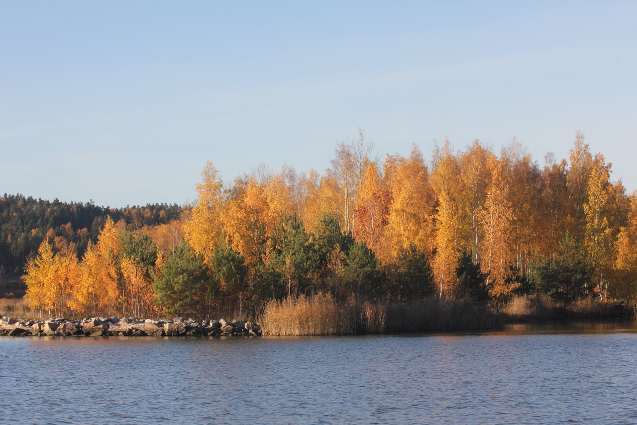 Jūra, Ruduo, Suomių, Kraštovaizdis, Gamta, Medis, Dangus, Archipelagas, Vanduo, Ruda