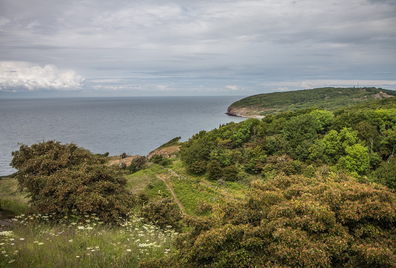 Jūra, Bornholm, Papludimys, Denmark, Miškas, Nemokamos Nuotraukos,  Nemokama Licenzija