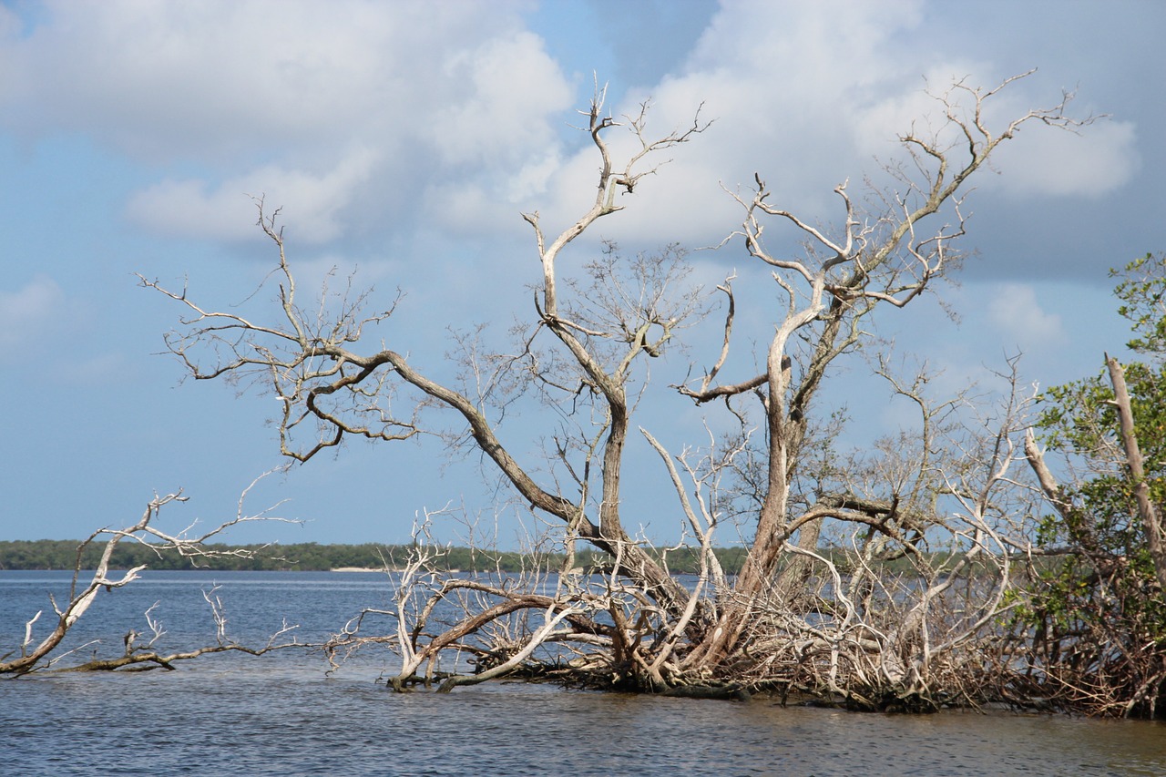 Jūra, Standgut, Florida, Debesys, Vanduo, Papludimys, Atmosfera, Dangus, Usa, Nemokamos Nuotraukos