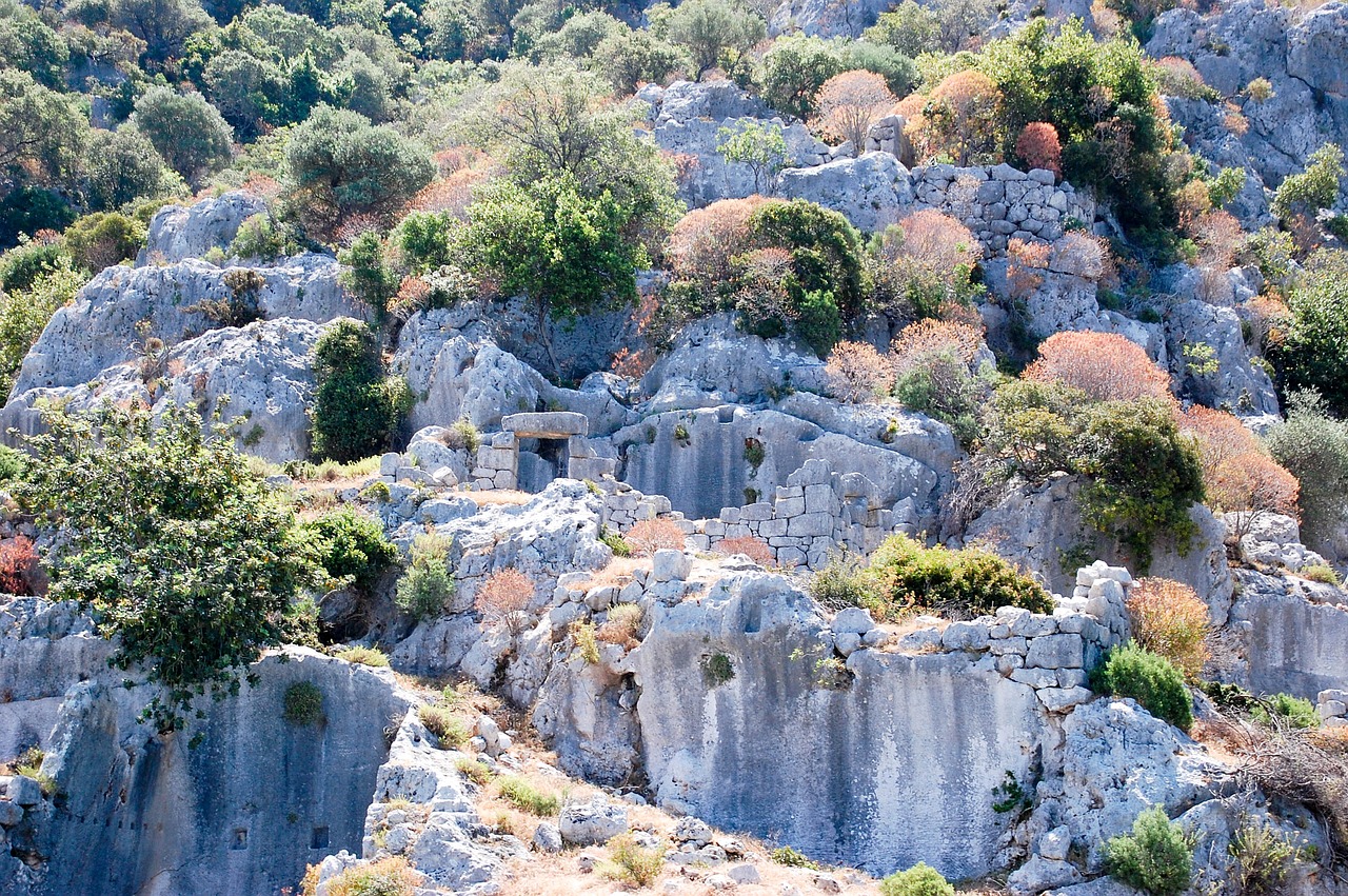 , Nemokamos Nuotraukos,  Nemokama Licenzija