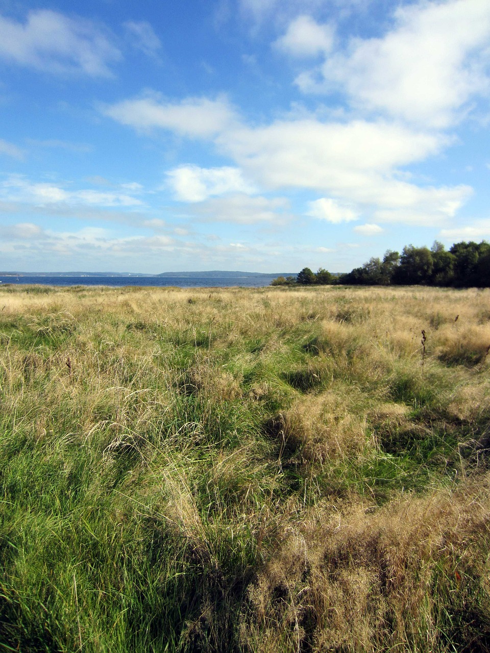 Jūra, Archipelagas, Papludimys, Onsala, Pakrantės, Nemokamos Nuotraukos,  Nemokama Licenzija