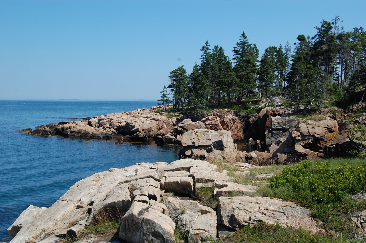 Jūra, Eglė, Maine, Nemokamos Nuotraukos,  Nemokama Licenzija